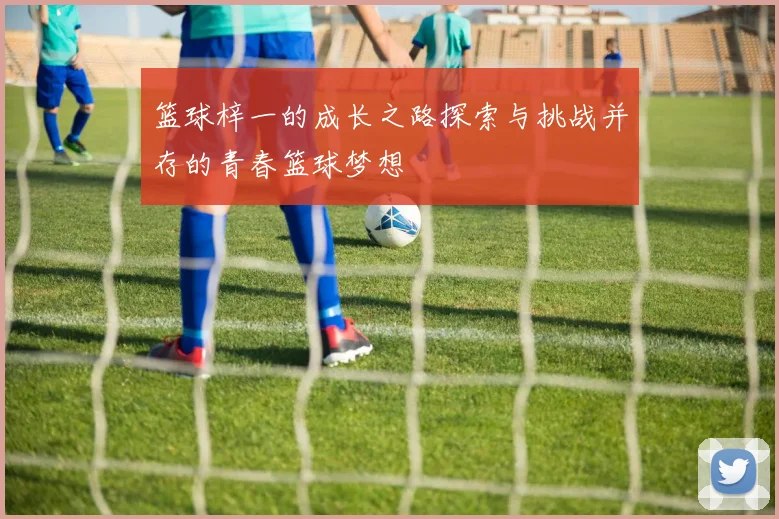 篮球梓一的成长之路探索与挑战并存的青春篮球梦想