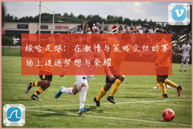 梭哈足球：在激情与策略交织的赛场上追逐梦想与荣耀