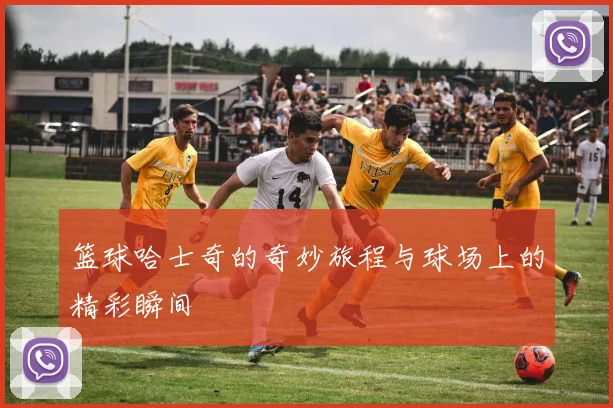 篮球哈士奇的奇妙旅程与球场上的精彩瞬间