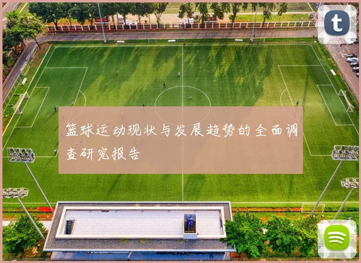 篮球运动现状与发展趋势的全面调查研究报告