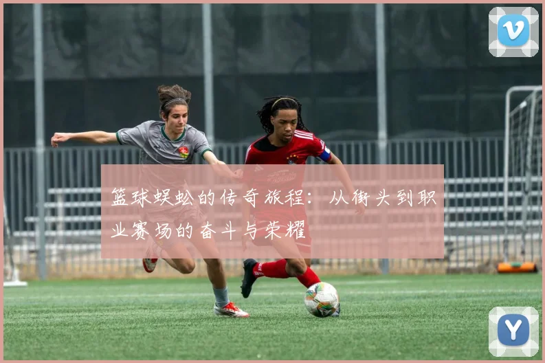 篮球蜈蚣的传奇旅程：从街头到职业赛场的奋斗与荣耀