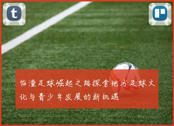 临潼足球崛起之路探索地方足球文化与青少年发展的新机遇