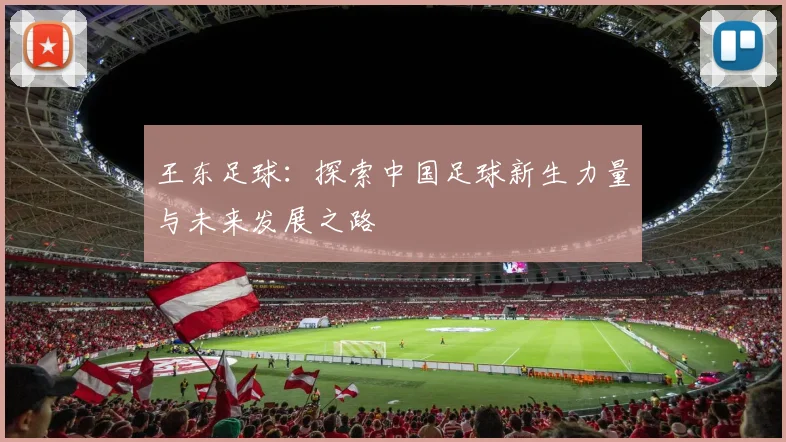 王东足球：探索中国足球新生力量与未来发展之路