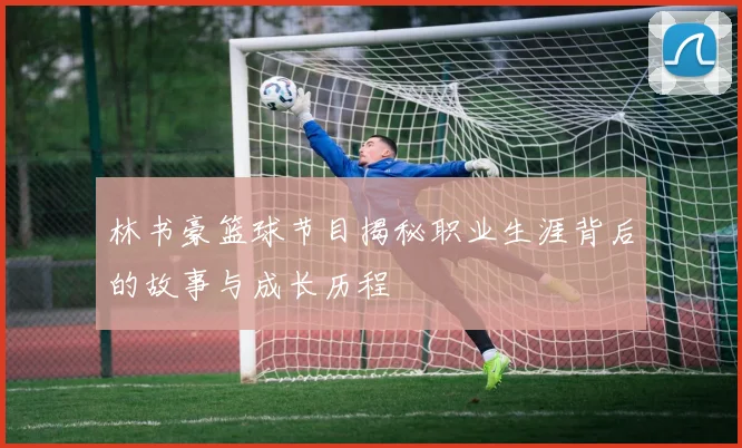 林书豪篮球节目揭秘职业生涯背后的故事与成长历程